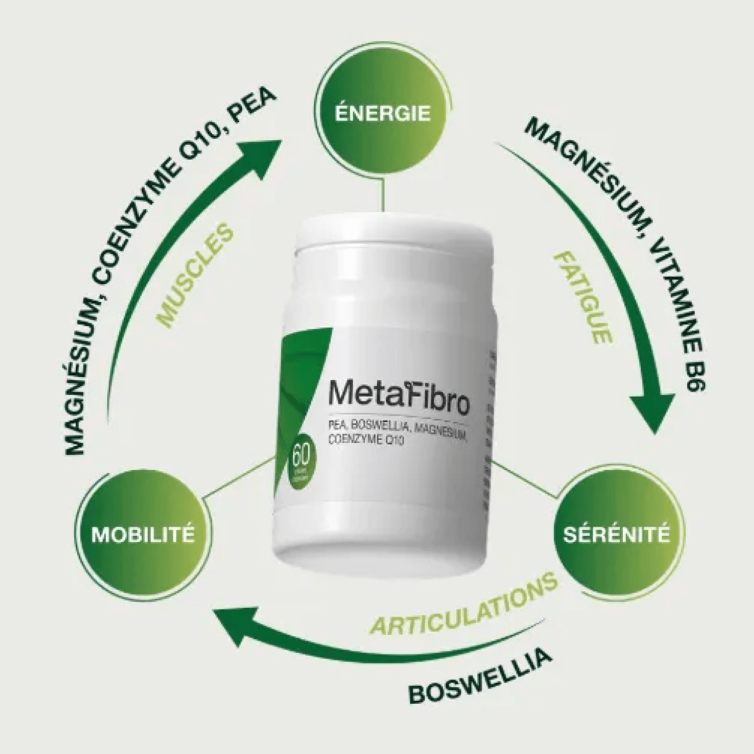 MetaFibro – Complément 6 actifs pour fatigue, mobilité, stress oxydatif et équilibre nerveux