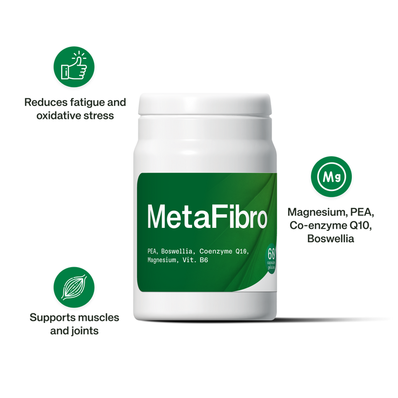 MetaFibro