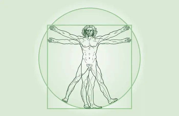 Représentation du corps humain illustrant l’approche intégrative globale de la santé selon la vision de CBX Medical