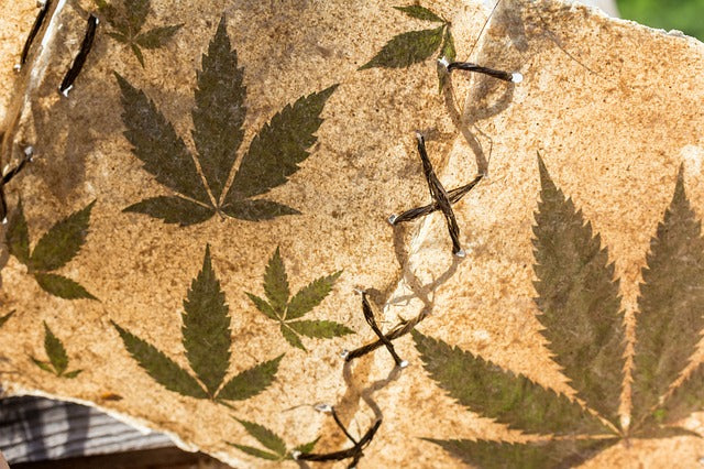 Le cannabis à travers l’Histoire