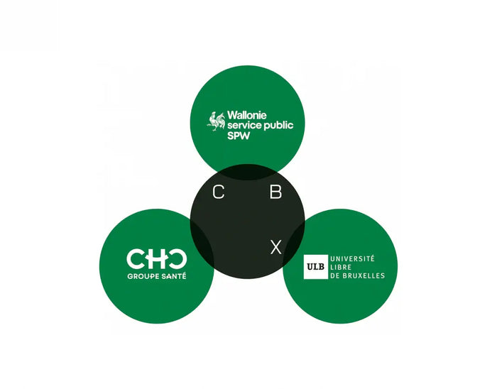 Partenariats de recherche en phytothérapie pour améliorer la qualité de vie des patients souffrant de pathologies chroniques