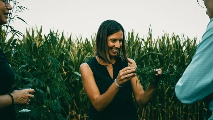 Chercheuse CBX examinant une plante de chanvre en discussion avec des experts pour faire avancer la phytothérapie intégrative en Europe