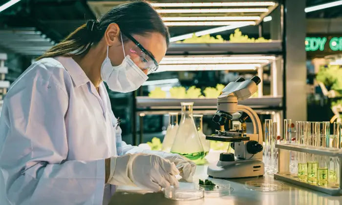 Chercheuse en laboratoire étudiant la biodisponibilité d’extraits de plantes médicinales comme le chanvre dans le cadre d’un partenariat universitaire