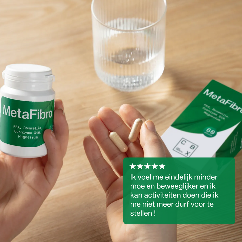 MetaFibro