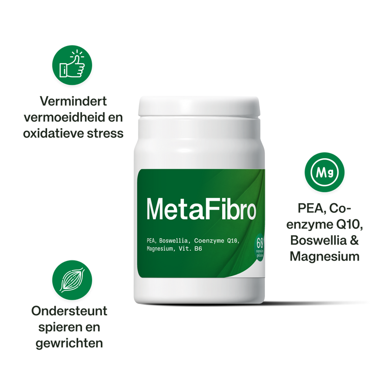 MetaFibro